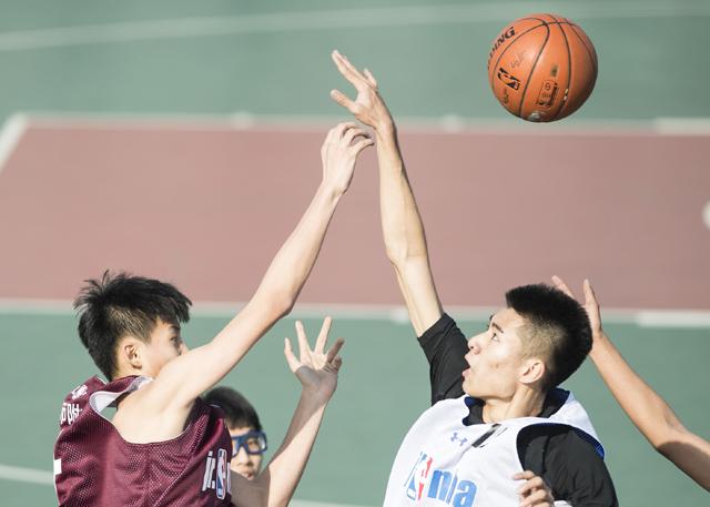 免费一级欧美片在线观免看