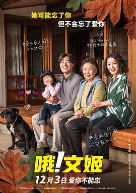 极品丝袜高跟91极品系列