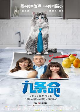 午夜国产精品视频