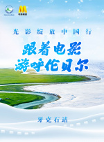 伊人情网