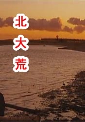 免费的追剧