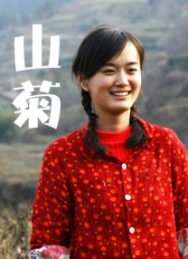 天天干小说