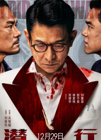 中文在线资源新版8
