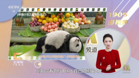 五月花社区婷婷综合